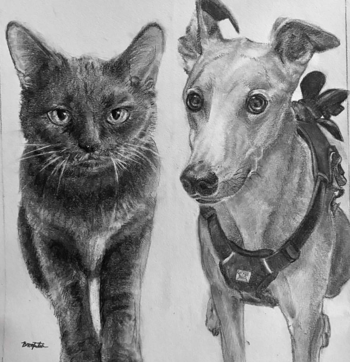 Cat and Greyhound