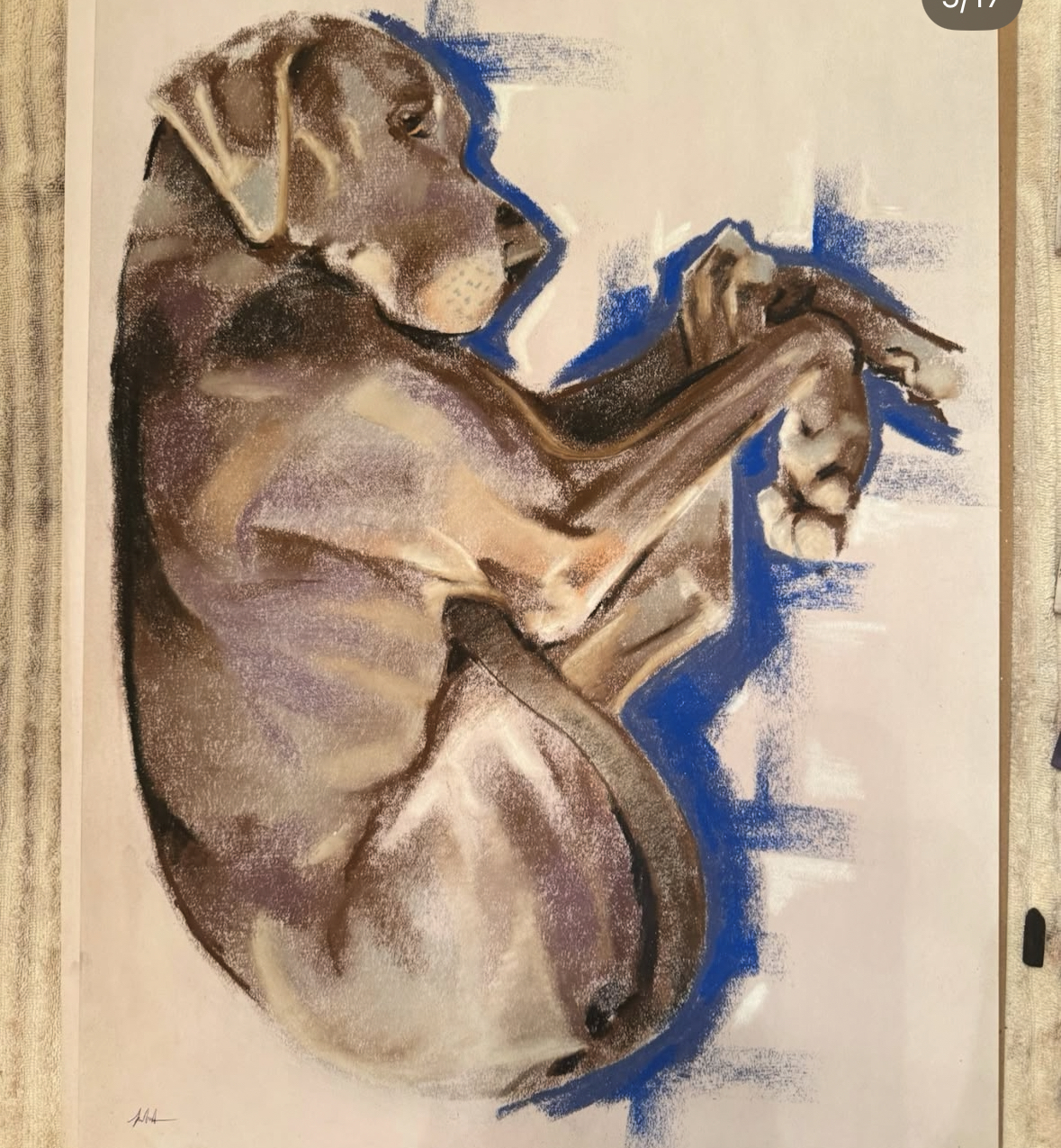 Dog in Pastel